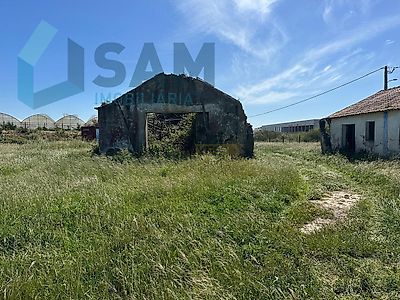 listing-picture-0
