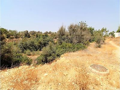 listing-picture-0