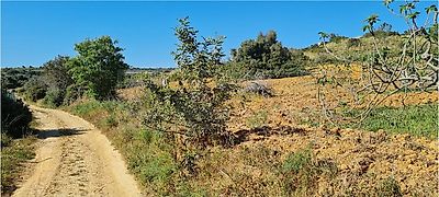 listing-picture-0