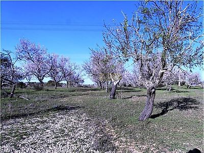 listing-picture-0