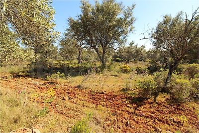listing-picture-0