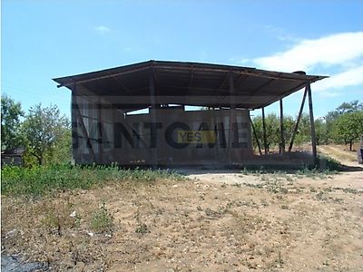 listing-picture-0