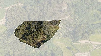 listing-picture-0