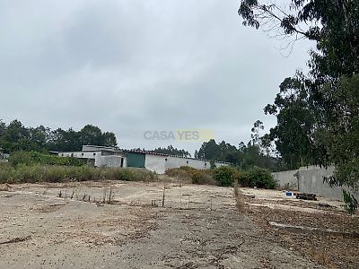 listing-picture-0
