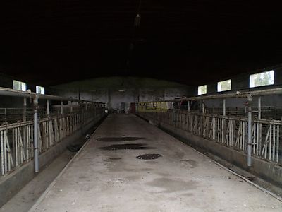 listing-picture-0