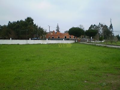 listing-picture-0