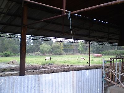 listing-picture-0