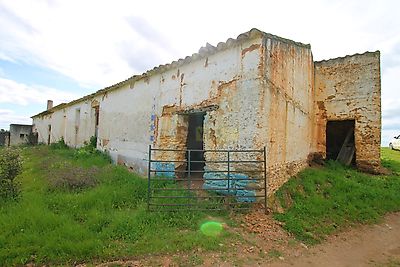 listing-picture-0