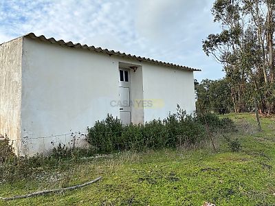 listing-picture-0