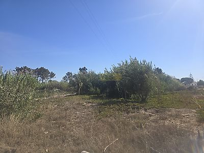 listing-picture-0