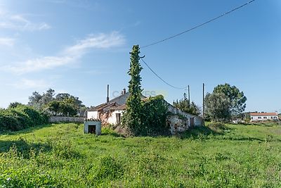 listing-picture-0