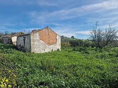 listing-picture-0