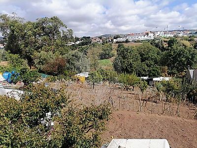 listing-picture-0
