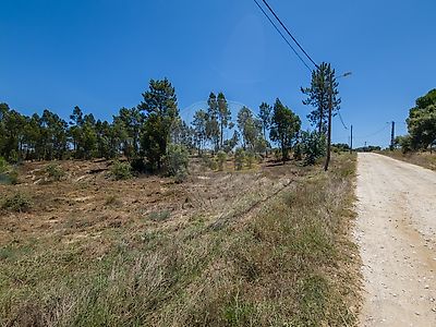listing-picture-0