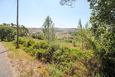 listing-picture-0
