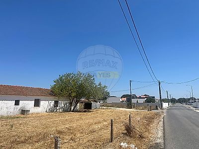 listing-picture-0
