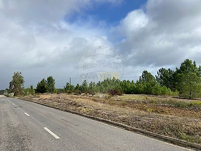 listing-picture-0