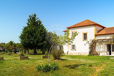 listing-picture-0