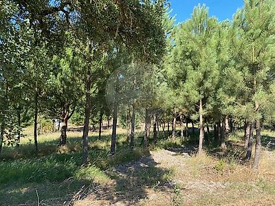 listing-picture-0