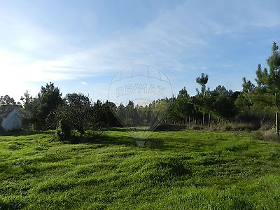 listing-picture-0