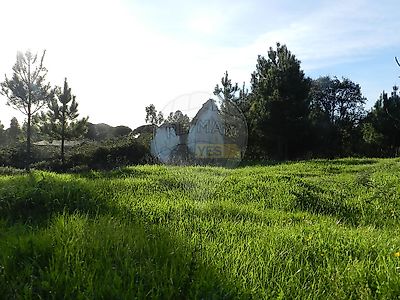 listing-picture-0