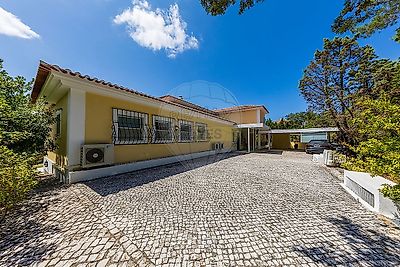listing-picture-0