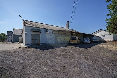 listing-picture-0