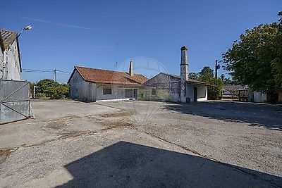 listing-picture-0
