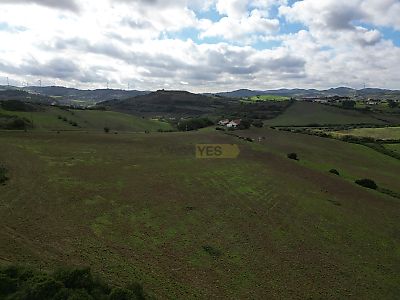 listing-picture-0