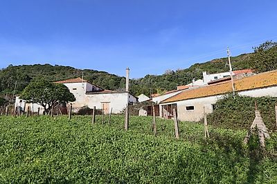 listing-picture-0