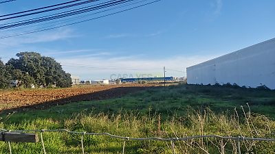 listing-picture-0