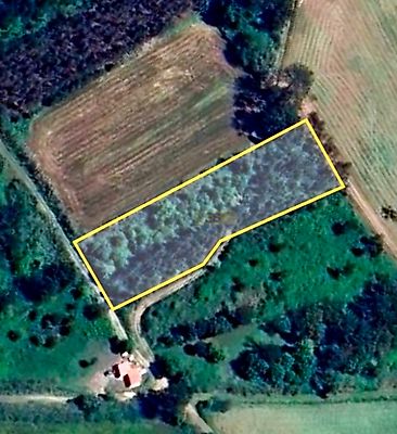 listing-picture-0
