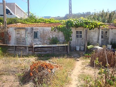 listing-picture-0