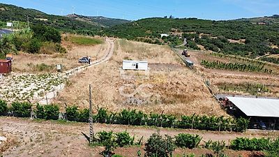 listing-picture-0