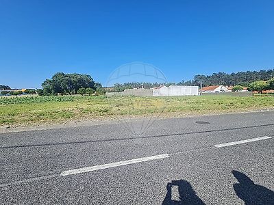 listing-picture-0