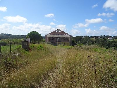 listing-picture-0