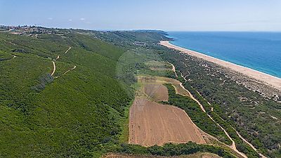 listing-picture-0