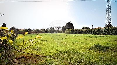 listing-picture-0