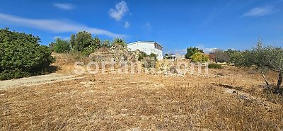listing-picture-0
