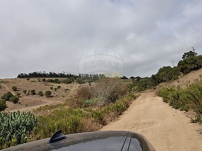 listing-picture-0