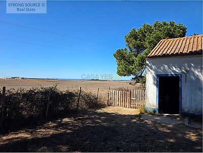 listing-picture-0
