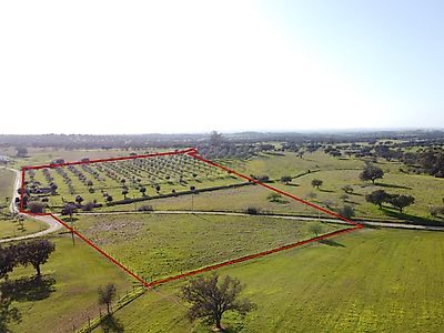 listing-picture-0