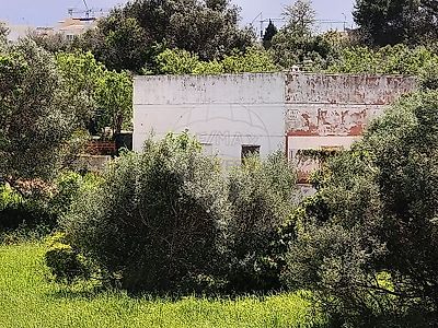 listing-picture-0