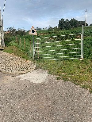 listing-picture-0
