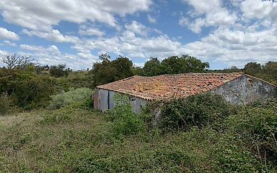 listing-picture-0