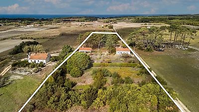 listing-picture-0