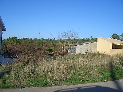 listing-picture-0