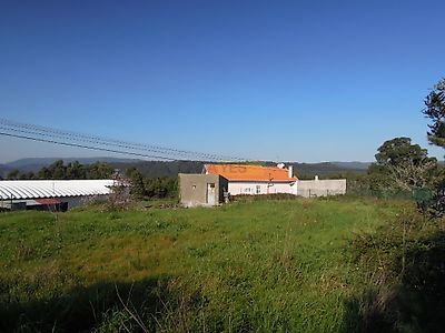 listing-picture-0