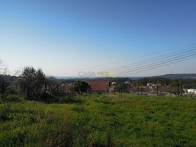 listing-picture-0