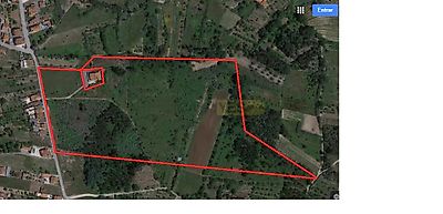 listing-picture-0
